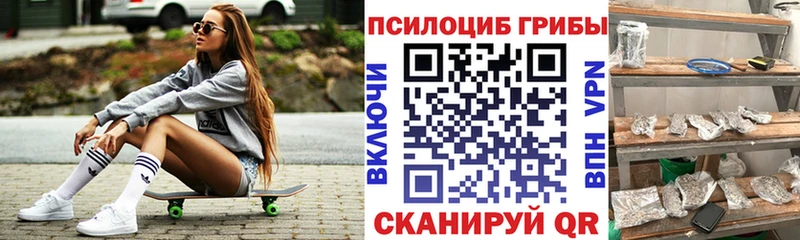 Галлюциногенные грибы MAGIC MUSHROOMS  даркнет сайт  Балашиха 
