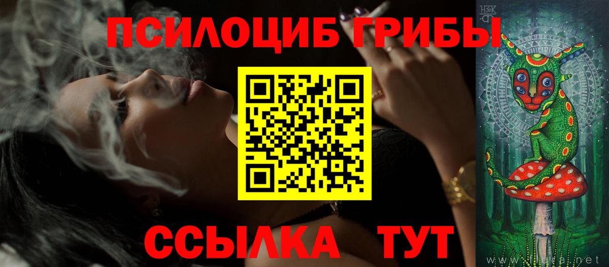 Балашиха  Галлюциногенные грибы прущие грибы  Галлюциногенные грибы прущие грибы  как найти наркотики  Вход с VPN 