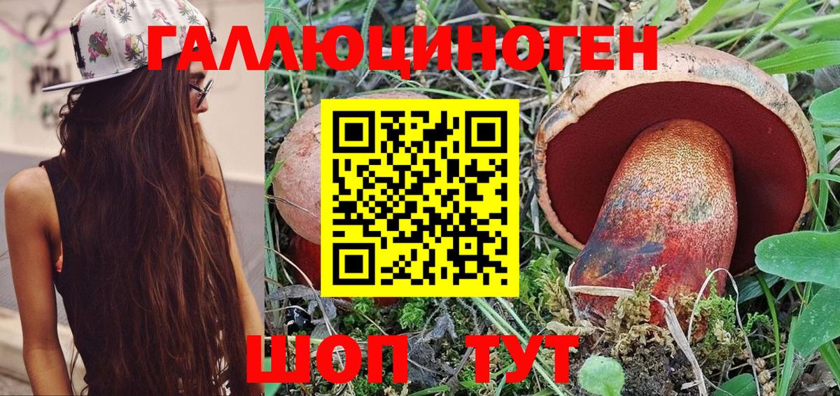 Псилоцибиновые грибы Psilocybe Балашиха